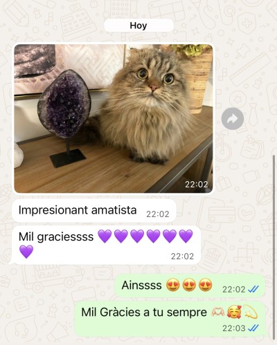 Lorena de Alicante
